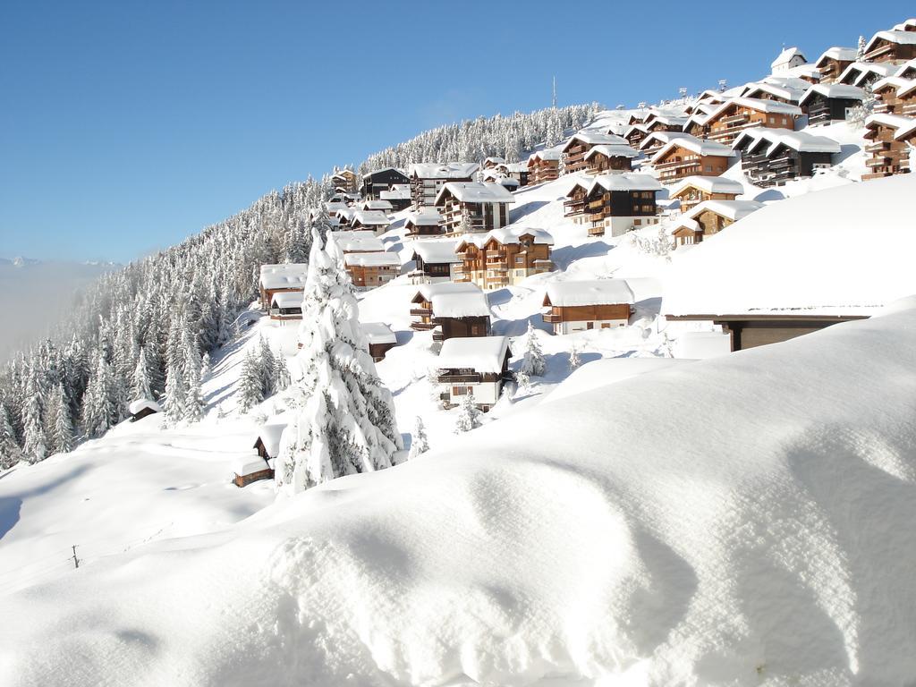 Chalet Foresta Bettmeralp Exterior photo