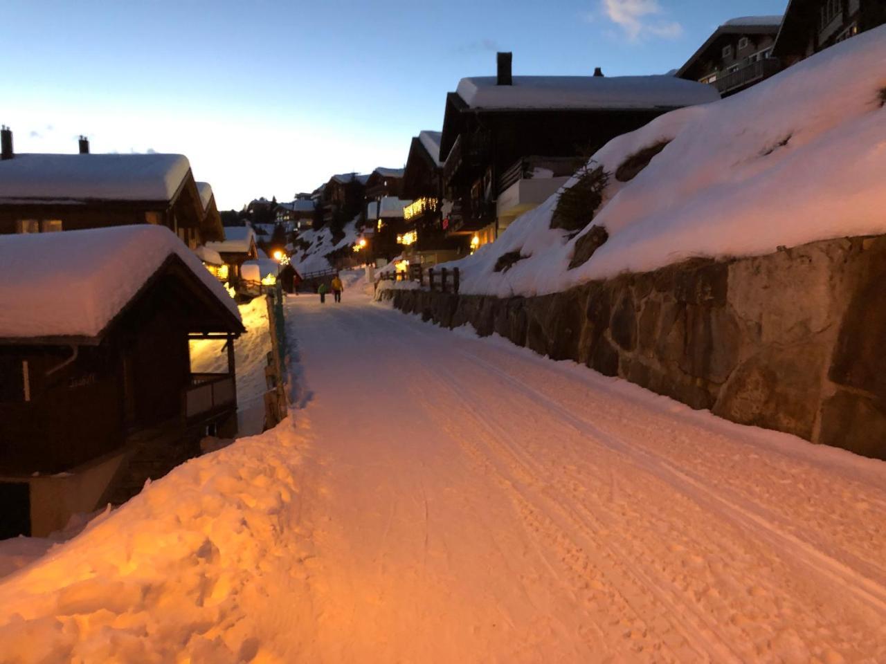 Chalet Foresta Bettmeralp Exterior photo
